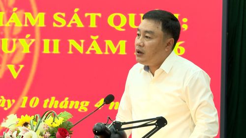 Phó Chủ nhiệm Ủy ban Kiểm tra Trung ương Đinh Hữu Thành phát biểu chỉ đạo hội nghị. Ảnh: TẤN YÊN