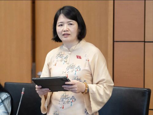 Đại biểu Nguyễn Thị Mai Thoa (đoàn TP Hải Phòng) phát biểu thảo luận. Ảnh: Phạm Thắng.