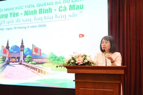 Phó Cục trưởng Cục Du lịch Quốc gia Việt Nam Nguyễn Thị Hoa Mai góp ý tại hội thảo. Ảnh: TITC
