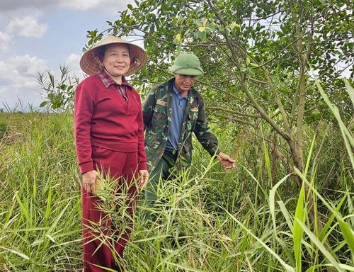 Vợ chồng ông Xuân từng là thợ săn, đầu nậu mua bán chim trời nay thực hiện việc bảo vệ, tạo môi trường sống cho các loài chim.