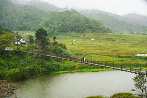 Khung cảnh xanh mát tại Măng Đen nơi có độ che phủ rừng hơn 75%. Ảnh: Linh Huỳnh.