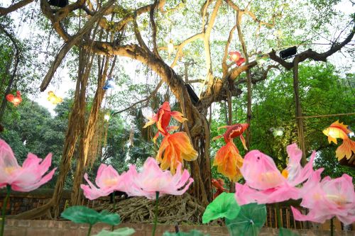 Không gian trưng bày được thiết kế như một “khu vườn” của ánh sáng, nơi hàng trăm tác phẩm đèn lồng với đa dạng kích thước, hình dáng cùng hiện diện.