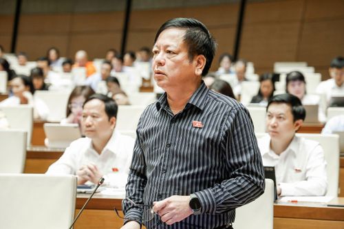  ĐB Nguyễn Trường Giang (Lâm Đồng) phát biểu tại Quốc hội sáng 11-4. Ảnh: VIẾT CHUNG 