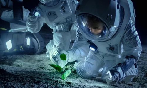 Ảnh: @scitechdaily.