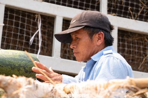 Mồ hôi ướt đẫm trên gương mặt người cửu vạn.