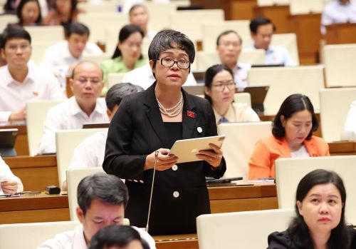 Đại biểu Quốc hội thành phố Hà Nội Dương Minh Ánh phát biểu. Ảnh: Văn Điệp - TTXVN