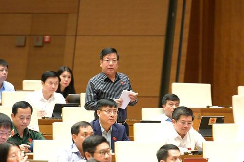 Đại biểu Quốc hội Nguyễn Trường Giang - đoàn Lâm Đồng phát biểu.