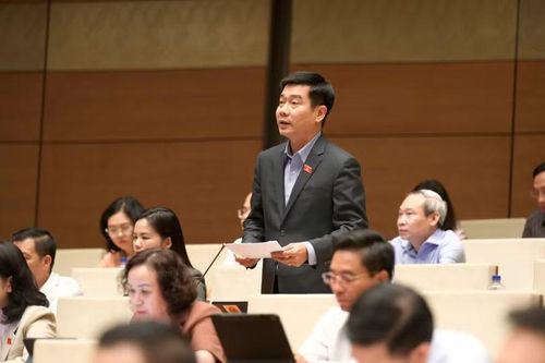 Đại biểu Lê Thanh Hoàn nêu ý kiến. Ảnh: Quốc hội.