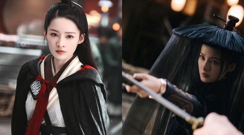 Nhân vật Ly Ca (Lý Thấm) xuất hiện với hình ảnh nữ hiệp mang trong mình lý tưởng chính nghĩa, quyết tâm ám sát Lưu Nghĩa Khang (Tần Hạo) vì hiểu lầm ông là gian thần. Sau thất bại, nàng bị cuốn vào thân phận mới và trở thành thê tử của chính mục tiêu mình từng muốn giết. Quá trình đồng hành giúp nàng nhận ra sự thật và cùng Lưu Nghĩa Khang chống lại thế lực tham quan. Trải qua nhiều biến cố, cả hai vượt qua thử thách để đoàn tụ, khép lại hành trình đầy sóng gió.