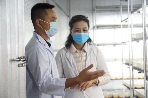 Anh Nguyễn Thành Luận trao đổi với đại diện của Bộ Nông nghiệp và Môi trường về ứng dụng công nghệ hiện đại để sản xuất nấm đông trùng hạ thảo chất lượng. Ảnh: T.L