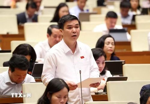 Đại biểu Quốc hội tỉnh Thái Nguyên Hà Sỹ Huân phát biểu. Ảnh: Văn Điệp/TTXVN