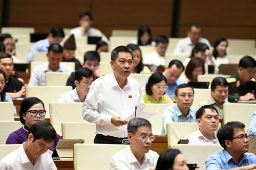 Đại biểu Nguyễn Tiến Nam tham gia thảo luận ở hội trường. Ảnh: Đoàn ĐBQH thành phố cung cấp