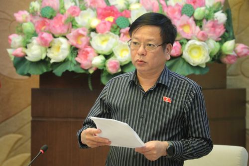 Phó Chủ nhiệm Ủy ban Pháp luật và Tư pháp Nguyễn Trường Giang phát biểu tại phiên họp