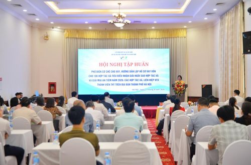 Đây là Hội nghị có ý nghĩa thiết thực, không chỉ giúp các HTX tháo gỡ khó khăn về nguồn vốn, mà còn giúp các HTX nâng cao năng lực nội tại của mình.