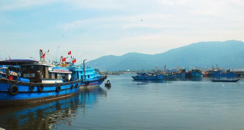 Có nhiều thời điểm tàu cá của ngư dân phải nằm bờ vì chi phí cao, giá cá thấp...