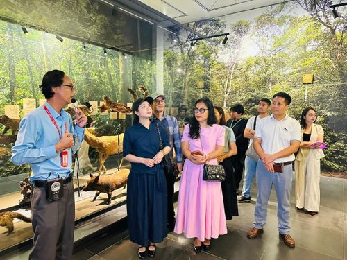 Không gian trưng bày hệ sinh thái động thực vật tại Vườn Quốc gia Ba Vì. Ảnh: Hoàng Quyên