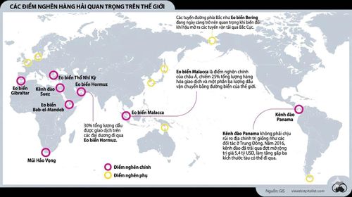  Nguồn: Visual Capitalist. 