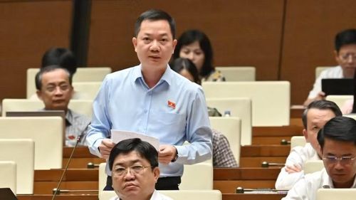 Đại biểu Trịnh Xuân An (Đoàn Đồng Nai) phát biểu tại hội trường. (Ảnh: THỦY NGUYÊN)