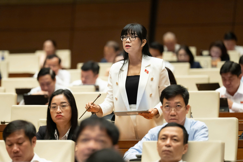 Đại biểu Trịnh Thị Tú Anh (đoàn Lâm Đồng) phát biểu tại hội trường.