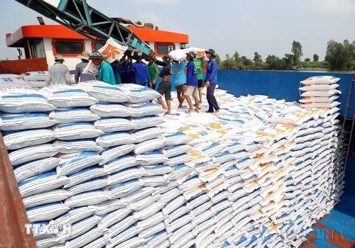 Bốc dỡ gạo xuất khẩu. (Ảnh: Hồng Đạt/TTXVN)