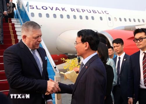 Bộ trưởng, Chủ nhiệm Văn phòng Chính phủ Đặng Xuân Phong đón Thủ tướng nước Cộng hòa Slovakia Robert Fico tại Sân bay quốc tế Nội Bài. (Ảnh: Tuấn Anh/TTXVN)