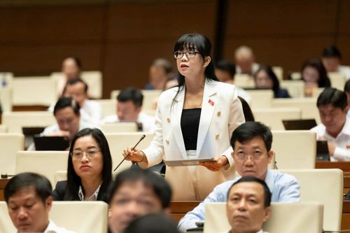 Đại biểu Trịnh Thị Tú Anh, đoàn Lâm Đồng phát biểu.