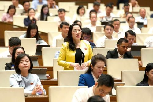ĐBQH Nguyễn Thị Thủy (Ảnh: Media Quốc hội).