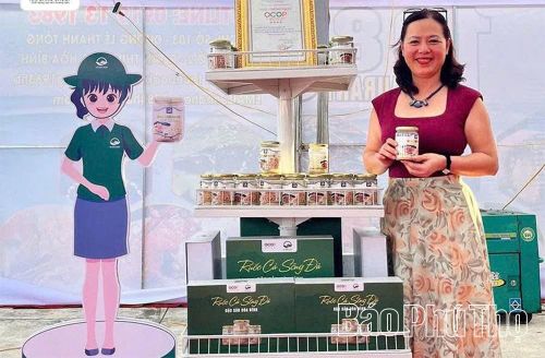 Sản phẩm ruốc cá của Công ty TNHH Hải Đăng Group được người tiêu dùng tin tưởng lựa chọn.