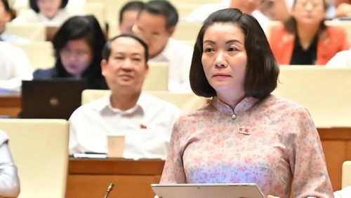 Đồng chí Nguyễn Minh Tâm, Phó trưởng đoàn chuyên trách Đoàn ĐBQH tỉnh thảo luận về Dự án Luật Thủ đô (sửa đổi) - Ảnh: CTV