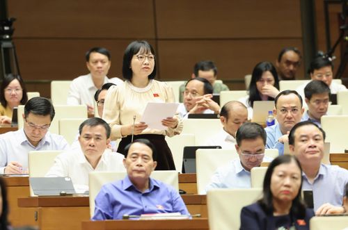 ĐBQH Nguyễn Thị Việt Nga (Hải Phòng) phát biểu. Ảnh: Hồ Long