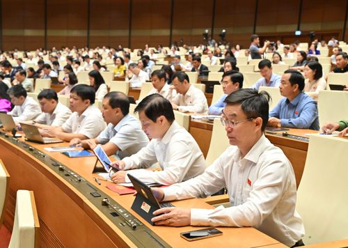 Các đại biểu dự phiên họp. Ảnh: Quang Khánh