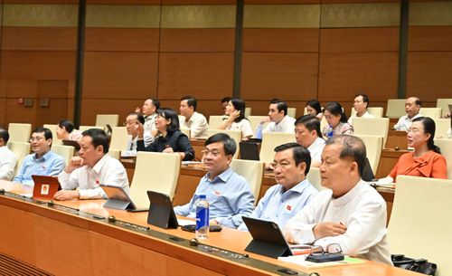 Các đại biểu dự phiên họp. Ảnh: Quang Khánh