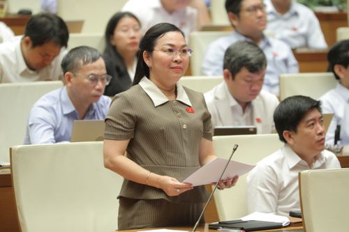 ĐBQH Lý Anh Thư (An Giang) phát biểu. Ảnh: Hồ Long