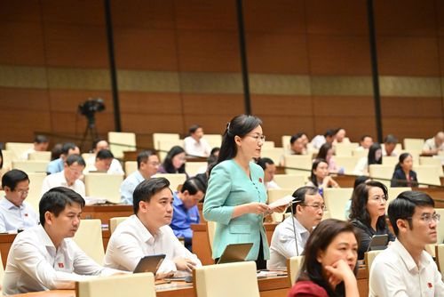 ĐBQH Đỗ Thị Việt Hà (Bắc Ninh) phát biểu. Ảnh: Quang Khánh