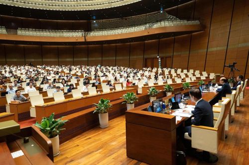 Phiên thảo luận sáng 11/4.
