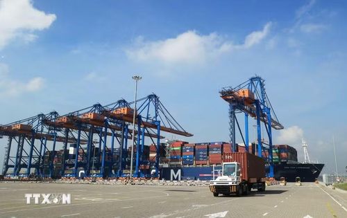 Xe chở container hoạt động trên cảng quốc tế Gemalink thuộc hệ thống Cảng biển Cái Mép. (Ảnh: Hồng Đạt/TTXVN)
