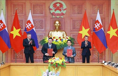 Thủ tướng Lê Minh Hưng và Thủ tướng Robert Fico chứng kiến trao Biên bản ghi nhớ Viện Năng lượng nguyên tử Việt Nam và Viện Nghiên cứu Nhà máy điện hạt nhân Slovakia. Ảnh: Dương Giang/TTXVN