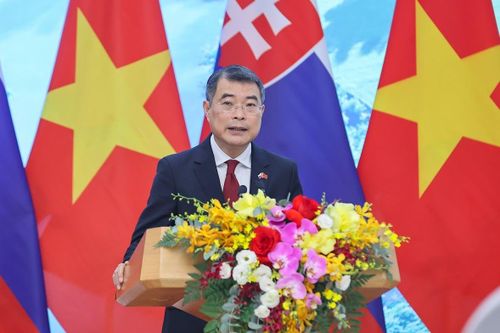 Thủ tướng Lê Minh Hưng cho biết, Việt Nam và Slovakia đã thống nhất cao về việc thúc đẩy hiệu quả các nhóm giải pháp. Ảnh: VGP/Nhật Bắc