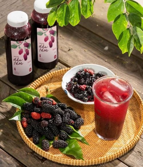  Nước dâu tằm có nhiều lợi ích cho sức khỏe. Ảnh: B.H 