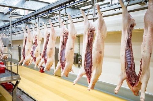 Chủ tịch UBND TP. Hồ Chí Minh yêu cầu Sở NN-MT chỉ đạo tăng cường hoạt động Đoàn Kiểm tra liên ngành về công tác phòng, chống dịch bệnh động vật và kiểm soát GMĐV