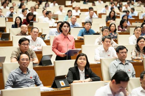 ĐBQH Trần Thị Nhị Hà phát biểu thảo luận tại hội trường