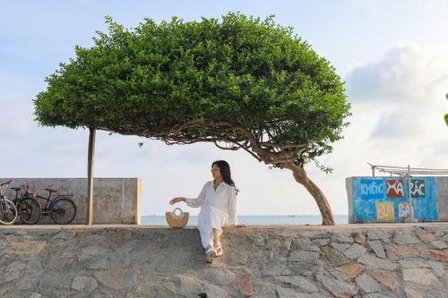  Du khách chụp ảnh cùng "cây cô đơn" nổi tiếng trên đảo Phú Quý, tháng 4/2023. Ảnh: Quỳnh Danh. 