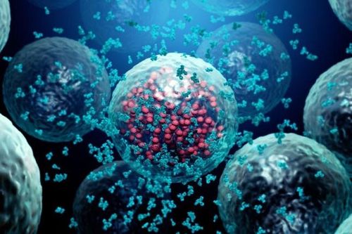 HIV thường được xem là "căn bệnh thế kỷ". Ảnh: Scinece Photo.