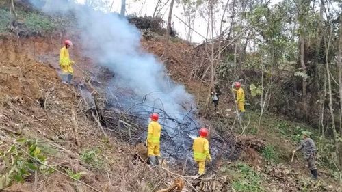 Hạt Kiểm lâm số 2 huấn luyện phòng cháy, chữa cháy rừng cho công nhân Công ty Trách nhiệm hữu hạn một thành viên lâm nghiệp Bắc Kạn. (Ảnh: TUẤN SƠN)