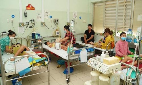 Dịch bệnh TCM và SXH đang gia tăng tại khu vực phía Nam 