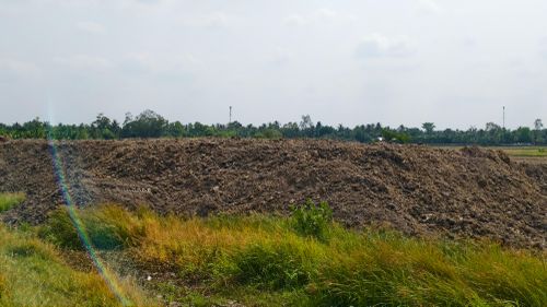  Một ụ đất cao trên 1m, nằm cặp tuyến ĐT909, thuộc xã Phú Quới 