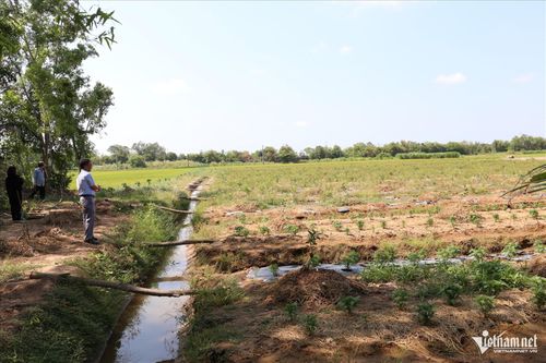 Nhiều mô hình hỗ trợ sinh kế được triển khai trong vùng đồng bào đang phát huy hiệu quả. Trong ảnh: Mô hình trồng chanh không hạt của nông dân ấp Sa Văng