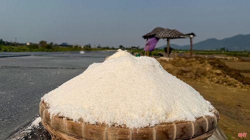 Từng đống muối nhỏ trắng tinh là thành quả ngọt ngào sau một ngày “vật lộn” với nắng gió. Gia đình tôi hiện làm 3 sào muối, mỗi năm thu hoạch khoảng 15 tấn muối. Nhưng làm ra muối là một chuyện, bán được giá hay không lại là chuyện khác.