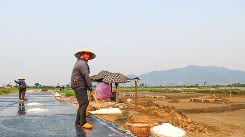 Những ngày nắng đẹp nhất, hai vợ chồng làm hết năng suất cũng chỉ kiếm được hơn 300 nghìn đồng. Nhìn quanh cánh đồng Châu Hạ bây giờ, đa phần chỉ còn những người già như tôi bám trụ.