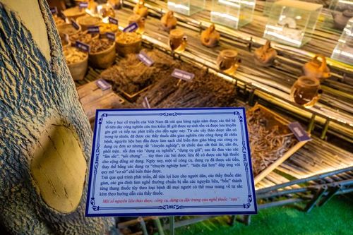 Bảo tàng là sự kết hợp hài hòa giữa văn hóa, lịch sử và khoa học y học cổ truyền. Nơi đây trưng bày những thảo dược quý giá từ thiên nhiên Việt Nam. (Ảnh: Minh Sơn/Vietnam+)